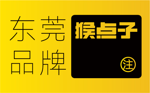 为什么东莞公司更相信东莞品牌设计公司能够为他们提供更具可持续发展的VI设计？